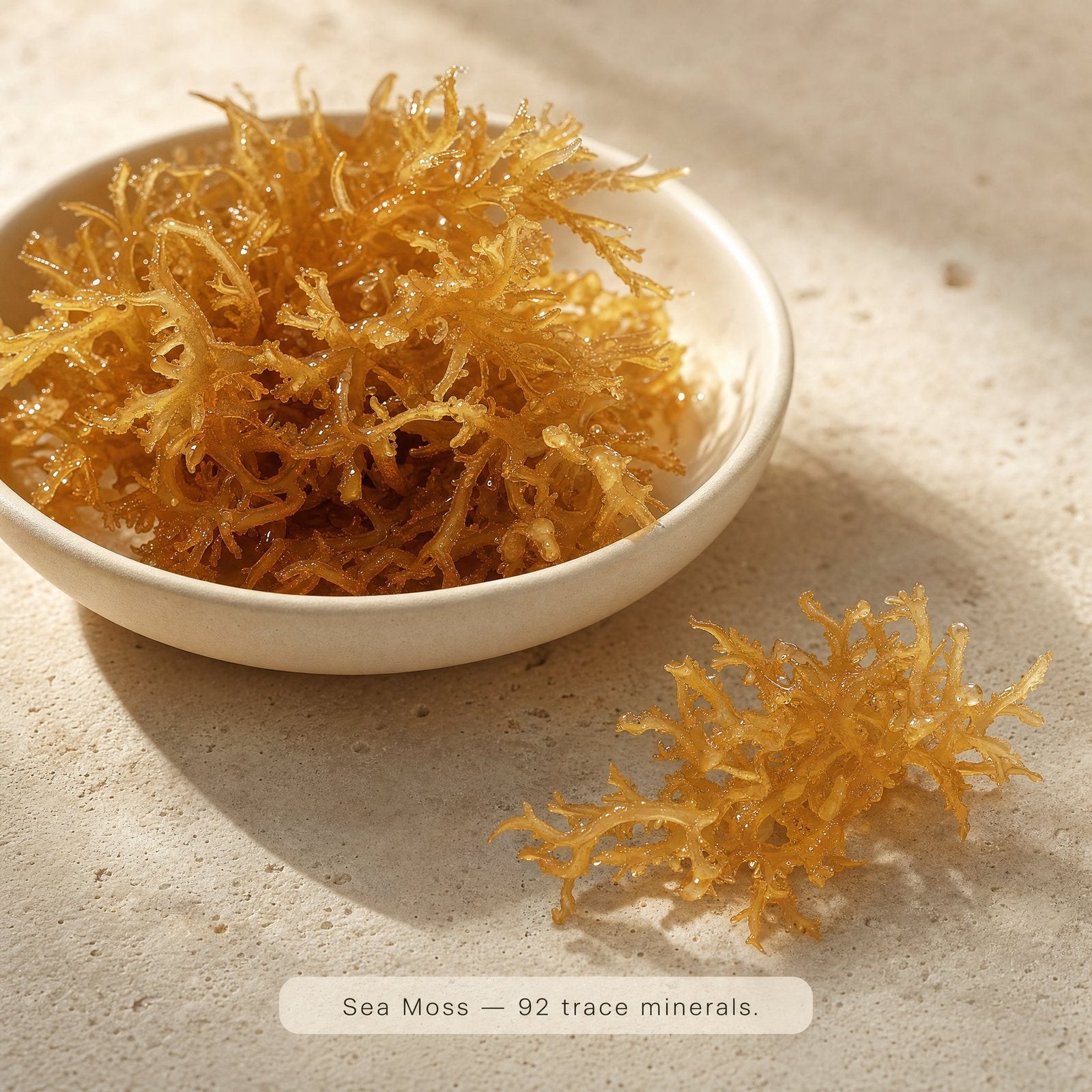 Sea Moss